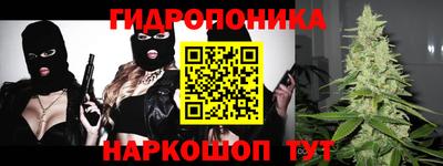 прущие крисы Сланцы