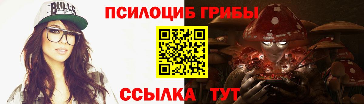 Псилоцибиновые грибы Psilocybine cubensis  Галлюциногенные грибы Psilocybe  Орёл  как найти   Вход с VPN 
